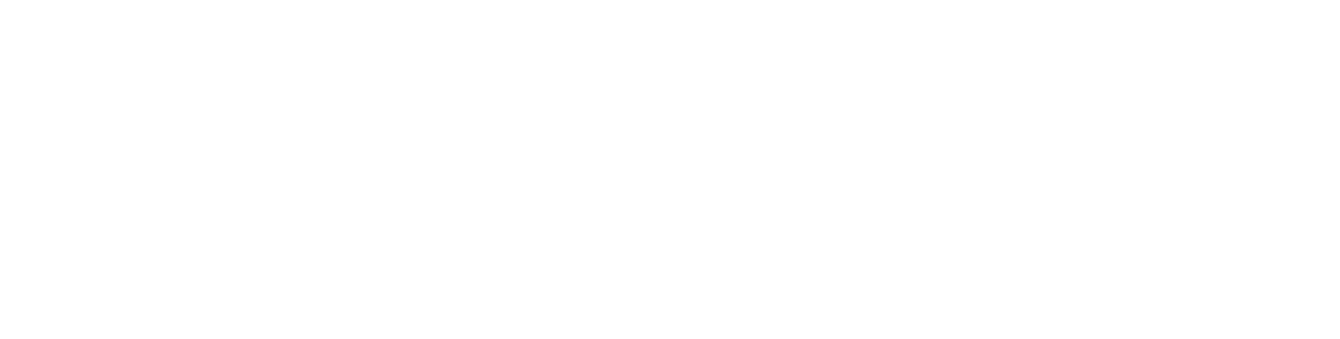 Wide logo, light version