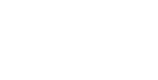 LOGO Animated